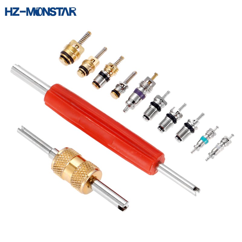 HZ-MONSTAR Valve Core Kit, 100 Pieces, R12, R134a, R410, R32,