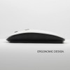 KawaiiMouse [ Optical 2.4G Wireless Mouse ] Turtle Baby Tortoise