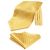 HISDERN Men's Check Polka Dot Floral Jacquard Woven Ascot Set,