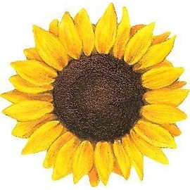 MAGNET Sunflower Magnetic Car Sticker Decal Refrigerator Metal Magnet Vinyl 5"