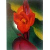 Georgia O'keefe Print Flowers Red Canna Framed & Matted A+
