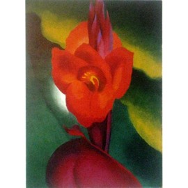 Georgia O'keefe Print Flowers Red Canna Framed & Matted A+ Quality