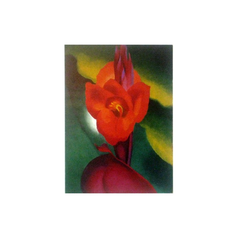 Georgia O'keefe Print Flowers Red Canna Framed & Matted A+