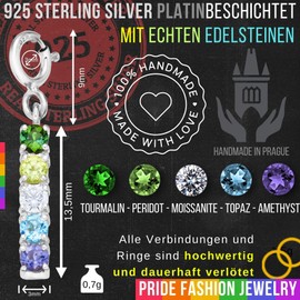 Homosexuell Geschenk Schmuck Anhänger mit Halsband, Handgefertigter Charm mit Regenbogen Edelsteinen, Auch für Armband, Halskette, Kette - Schwul PRIDE Fashion (Silber 925 Platiniert, Gay Schmuck)