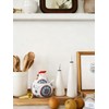13OZ Ceramic Salt Cellar with Lid and Spoon,Chicken Salt Container