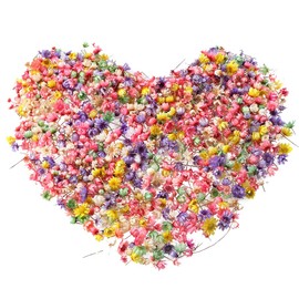 JIHUOO 300 Pcs Small Dried Flower Heads Mini Natural Dried Flowers Decorative Dry Flowers Miniature Dried Flowers Resin Filler Flowers Light