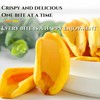 Freeze-Dried Jackfruit Crisps – Unsweetened Plant-Based Snacks | Gluten-Free |