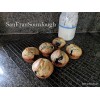 sanfransourdough Alive Sourdough Starter Certified Organic San Francisco style
