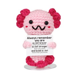IrisCargo Funny Positive Axolotl, Emotional Support Crochet Salamander Pocket Hug, Positive Gifts Doll Positive Potato German Gifts for Friends, Students