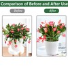 Plant Support Half Round 20 Pieces Flower Holder Plant Holder