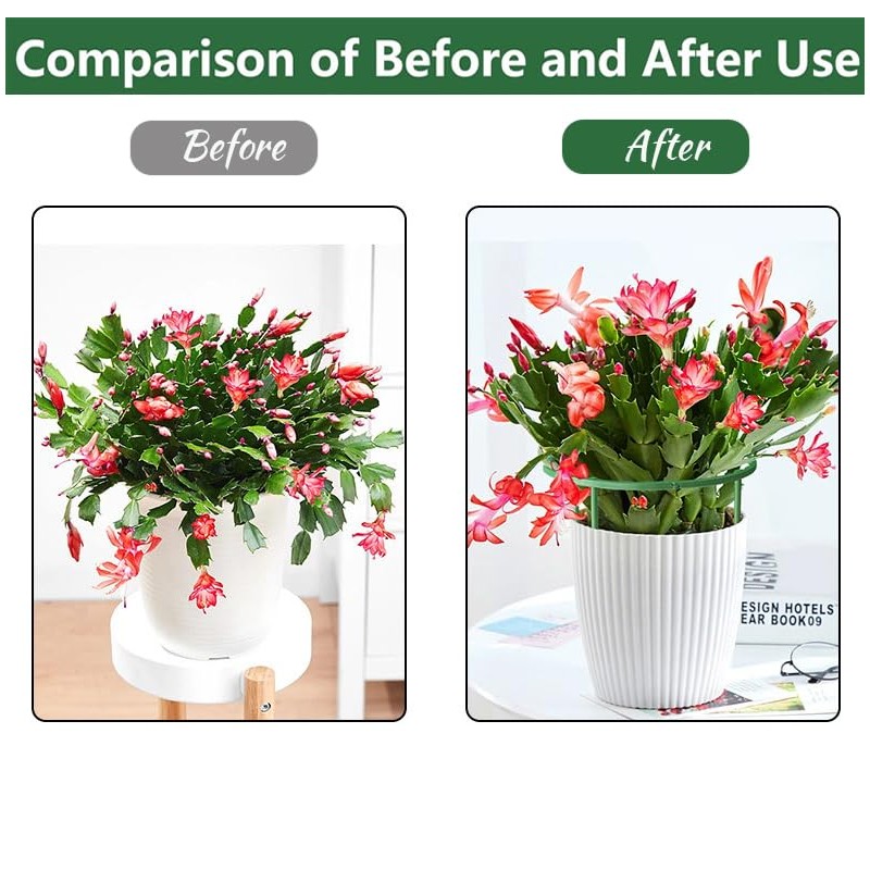 Plant Support Half Round 20 Pieces Flower Holder Plant Holder