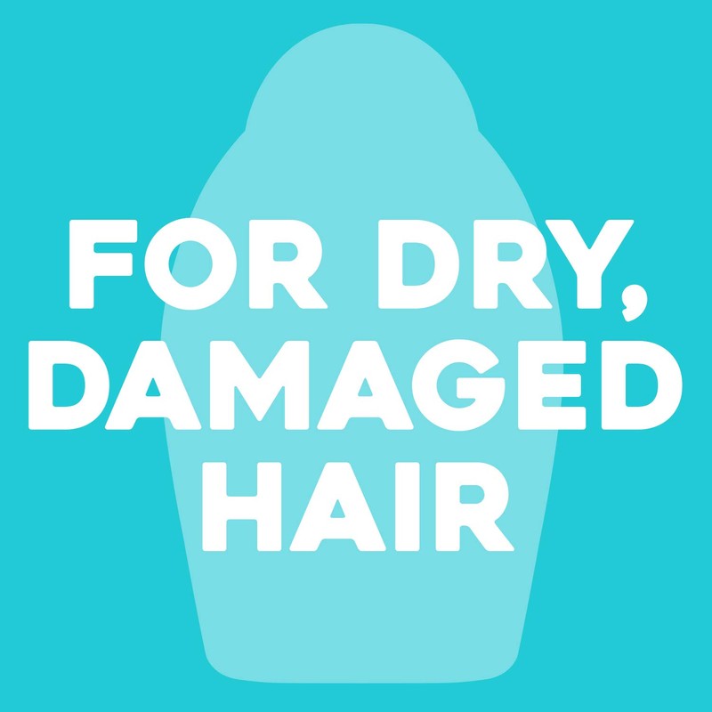 OGX Argan Oil of Morocco Conditioner for Dry Damaged Hair,