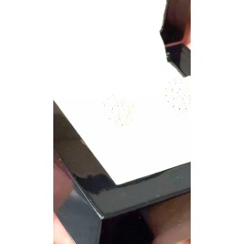 Tsv Jewelers White Gold Sterling 1.05Ct VVS Moissanite Flower Cluster Silver Stud Earrings