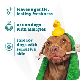 Espree Hypoallergenic Dog Shampoo & Conditioner, Tearless Formula with Aloe Vera, Sulfate-Free, Paraben-Free, Harsh Chemical and Dye-Free, Safe for Sensitive Skin, 20oz