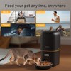 2025 Upgraded Automatic Cat Feeder - 4L Timed Auto Pet