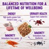 Wellness Healthy Indulgence Shreds Adult Wet Cat Food, Natural, Protein-Rich,
