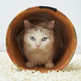 Petio Cat Toy Ethical Door Tough Craft Cat Tunnel Plain