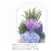 Offering Glass Dome Glass Dome Shizuki