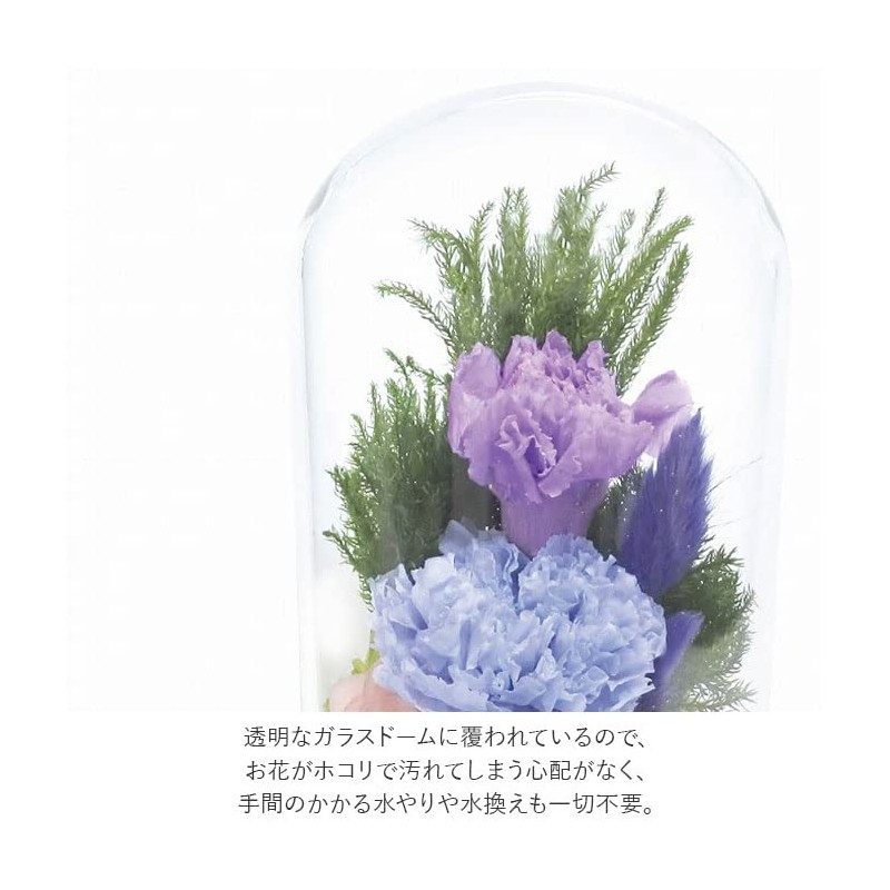 Offering Glass Dome Glass Dome Shizuki