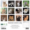 Maine Coon Cats 2026 12" x 12" Wall Calendar