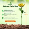 Outsidepride Perennial Birdsfoot Trefoil Seed - 10 lbs Nitrocoated, Inoculated,
