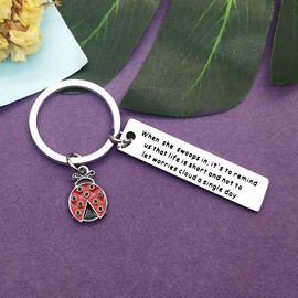 Inspirational Gift for Women Girls Teens Funny Ladybug Lover Encouragement Gift Keyring Ladybug Gift Keyring Keychain Graduation Christmas Anniversary Birthday Gifts for Women Friend