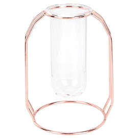 Yosoo Maceta de Vidrio de Metal Transparente Planta hidropónica floreros de Menta Scindapsus para Mesa hogar Sala de Estar Decoraciones de Oficina(Rose Gold)