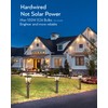 VIANIS Dusk to Dawn Outdoor Post Lights, Black Light Posts