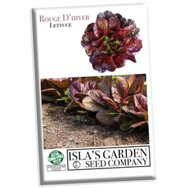 Rouge d'Hiver Romaine Lettuce Seeds (Lactuca Sativa) – 1000+ Heirloom Non-GMO Seeds per Packet by Isla’s Garden Seeds, Cold-Hardy, Red-Tinged Leaves, Perfect for Crisp and Flavorful Salads