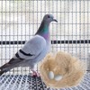 BESPORTBLE 1 Pack Bird Nest Cushion Material Tools for Nesting