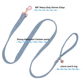 DOGWONG Blue Dog Collars and Lead, Comfortable Adjustable Dog Collar for Small and Medium Dogs