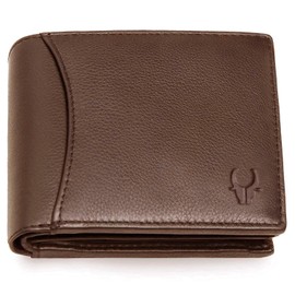WildHorn Leather Men's Wallet (WH1173), BROWN, Classic