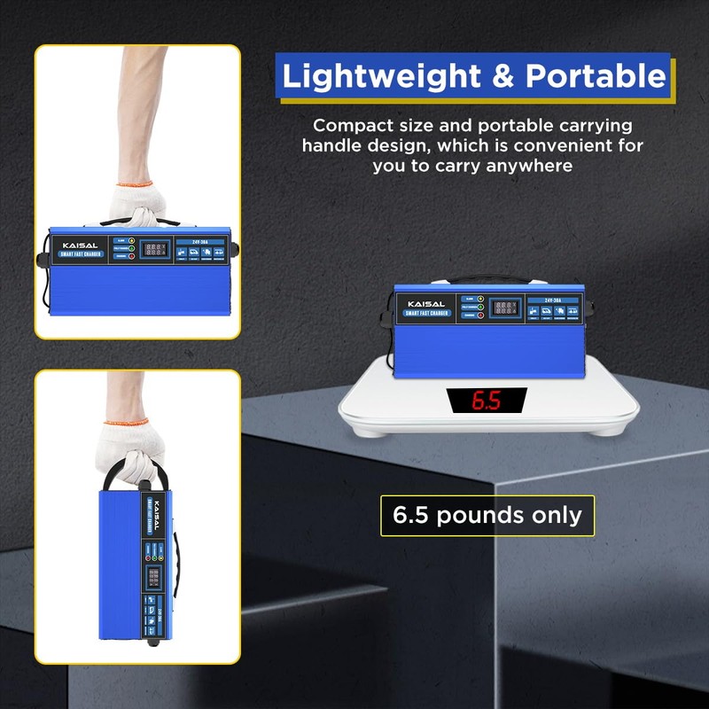 Forklift Battery Charger 24V 30A Smart 24 Volt Charger 900W