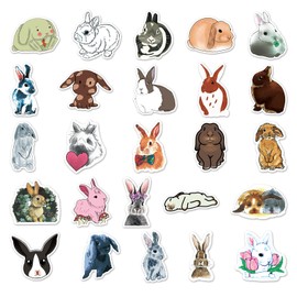 Cute Rabbit Stickers for Laptop(50 Pcs),Gift for Kids Teens Adults Girl,Cartoon Bunny Waterproof Stickers for Water Bottle,Cute Lovely Rabbit Vinyl Stickers for Scrapbook,Journal,Dairy,Skateboard