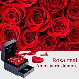 Conjunto Collar Rosa Eterna, 9 Flores de Rosa Preservada con Collar en 100 Idiomas'I Love You', Regalo de Día de La Madre, Cumpleaños, Aniversario, Regalo para Mamá, Esposa, Novia, Mujer