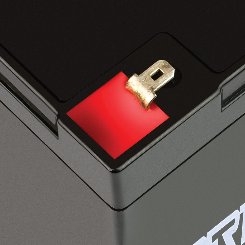 ExpertPower®6V 10Ah SLA Rechargeable Battery / 2 Pack