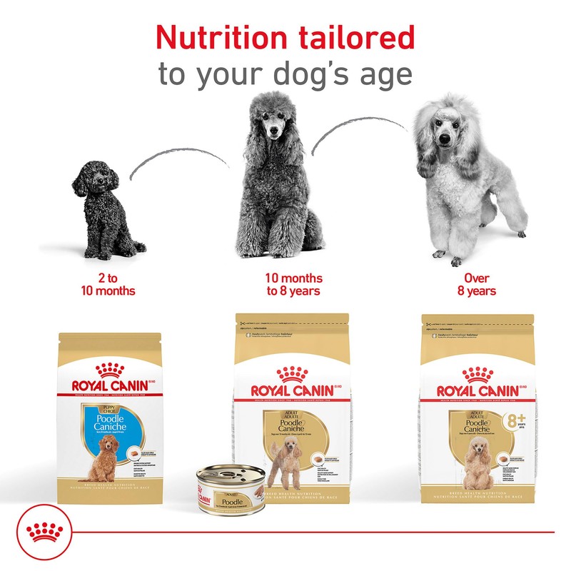 Royal Canin Poodle Adult Breed Specific Dry Dog Food, 2.5