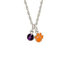 Stone Armory Clemson Paw Necklace - Orange Tiger Paw and Purple Crystal Charms - Hypoallergenic and Adjustable 16-20in - Clemson Tiger Gifts for Women
