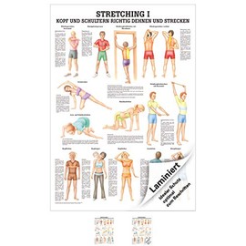 Ruediger Anatomie MIPO68LAM Streching I Board, 24 cm x 34 cm, Laminated