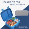 Zebrabox Lunch Box Insert Divider Compatible with Bentgo Fresh, Insert