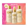 Kit Chi Keratin Shampoo, Acondicionador Y Reconstructor