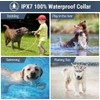 Petrainer 2Pcs Dog Shock Training Collar Rechargeable with LCD Remote