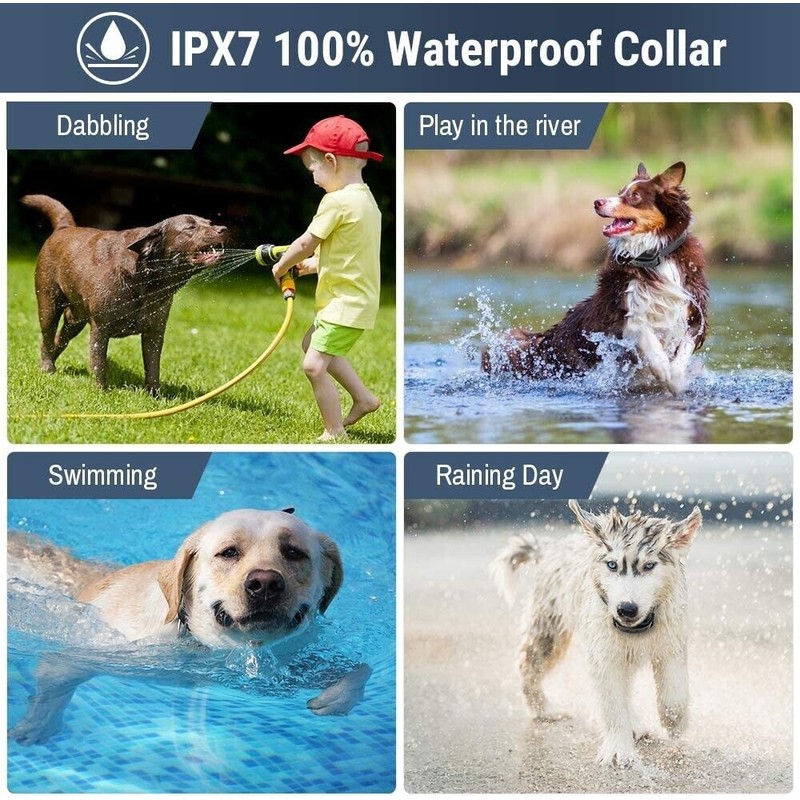 Petrainer 2Pcs Dog Shock Training Collar Rechargeable with LCD Remote