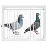 Junniu 11.8in/30cm Pigeon Cage Door One Way Entrance Door Bird