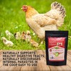 Pampered Chicken Mama Backyard Chicken Nesting Herbs - WormBGone All-Natural