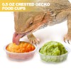 ANCKNE 200 pcs 0.5oz Crested Gecko Food and Water Feeding