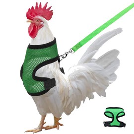 Chicken Harness with Leash Adjustable Leash Elastic Comfortable Hen Pet Vest Breathable Training for Hens Duck Goose Puppy Pet Harness