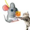 Interactive Cat Toy - Funny Cat Toys for Indoor Cats,Interactive