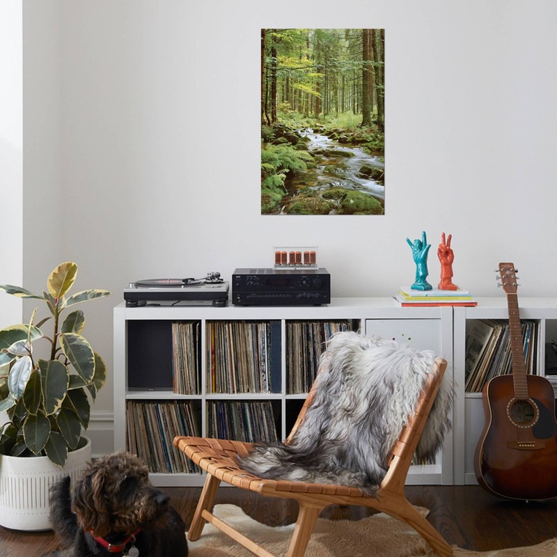 AllPosters Wall Poster Forest Creek, 24x36