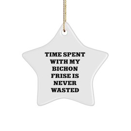 Time Spent with My Bichon Frise Dog is Never Wasted Funny Star Ornament Gifts for Dog Lovers Christmas Memorable Presents from Family to Friends, Unique Bichon Frise Dog Lover Gifts